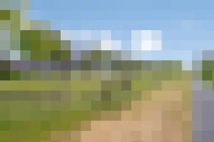 Heemraad 60 Zwaag thumbnail 33