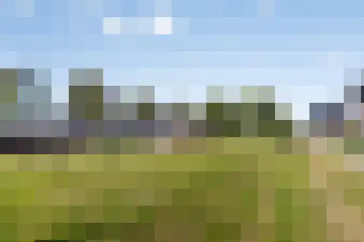 Heemraad 60 Zwaag thumbnail 34