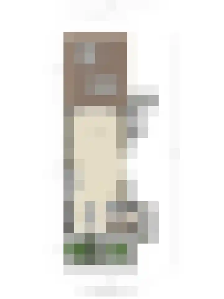 Heemraad 60 Zwaag thumbnail 35