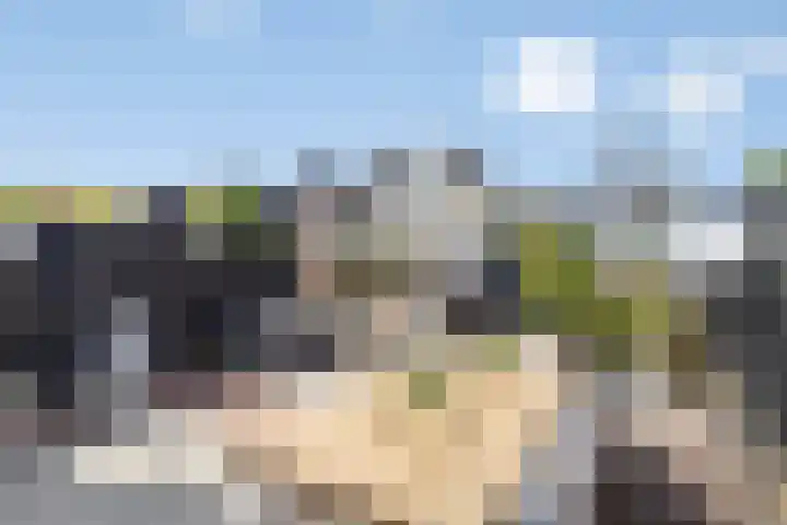 Heemraad 60 Zwaag thumbnail 6