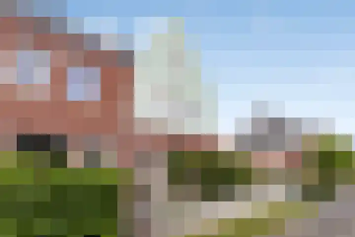 Heemraad 60 Zwaag thumbnail 7