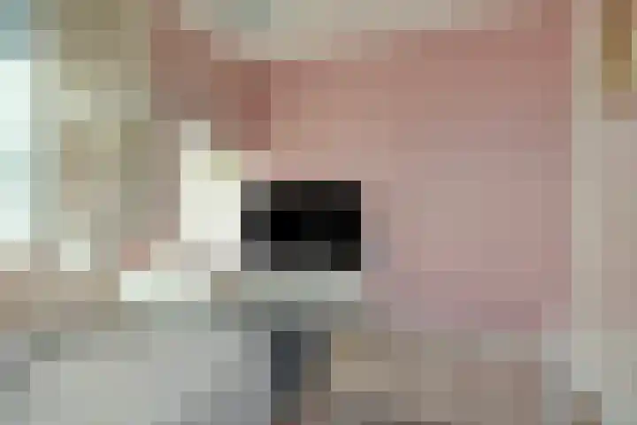 Heemraad 71 Zwaag thumbnail 23