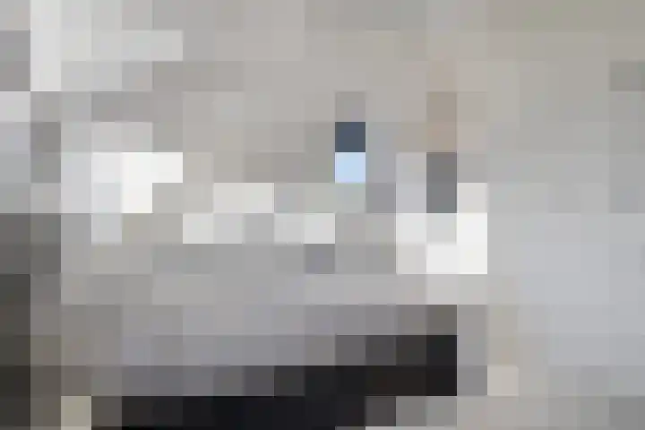 Heemraad 71 Zwaag thumbnail 28