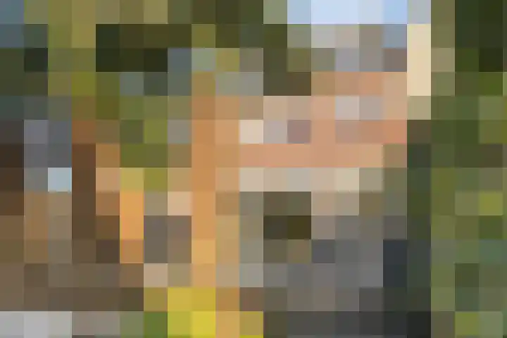 Heemraad 71 Zwaag thumbnail 30