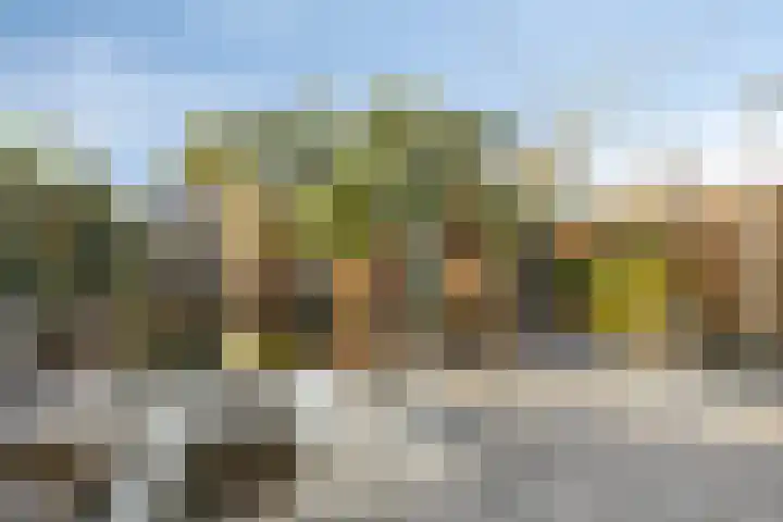 Heemraad 71 Zwaag thumbnail 31