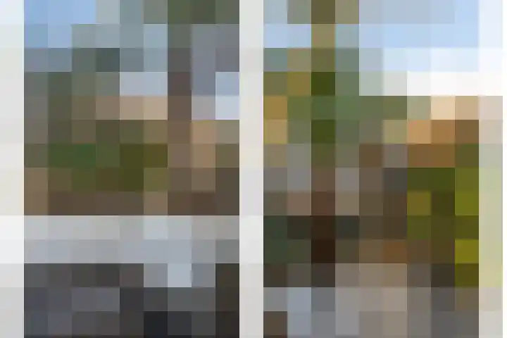 Heemraad 71 Zwaag thumbnail 36