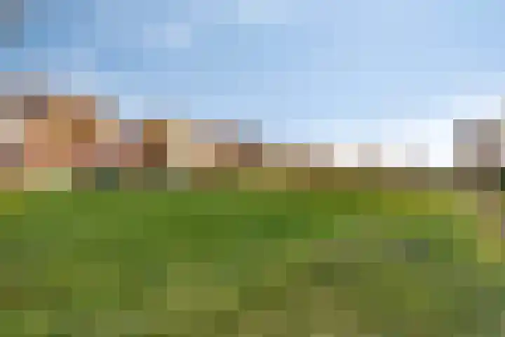 Heemraad 71 Zwaag thumbnail 41