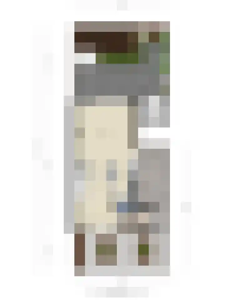 Heemraad 71 Zwaag thumbnail 43