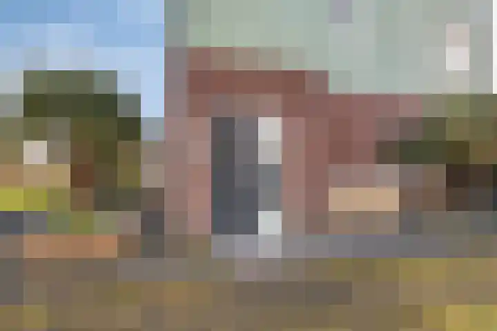 Heemraad 71 Zwaag thumbnail 7