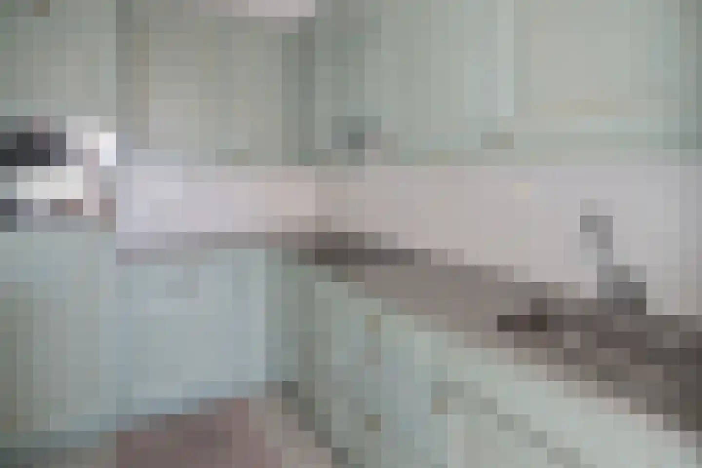 Heemraad 8 Ouderkerk aan de Amstel thumbnail 8