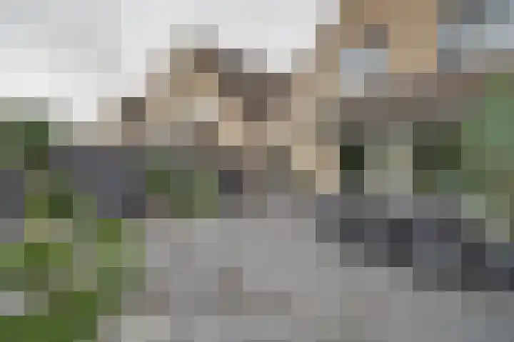 Heemraad 88 Zwijndrecht thumbnail 32