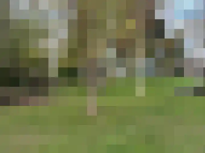 Heemraad 88 Zwijndrecht thumbnail 37