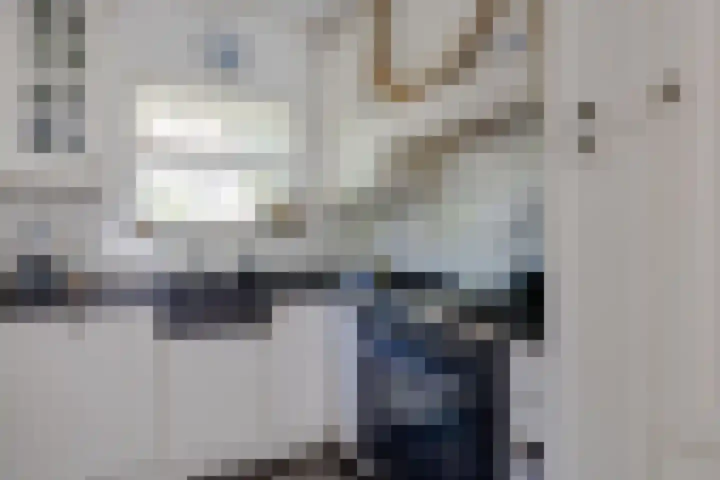 Heemraad Witweg 8 Oostwoud thumbnail 10