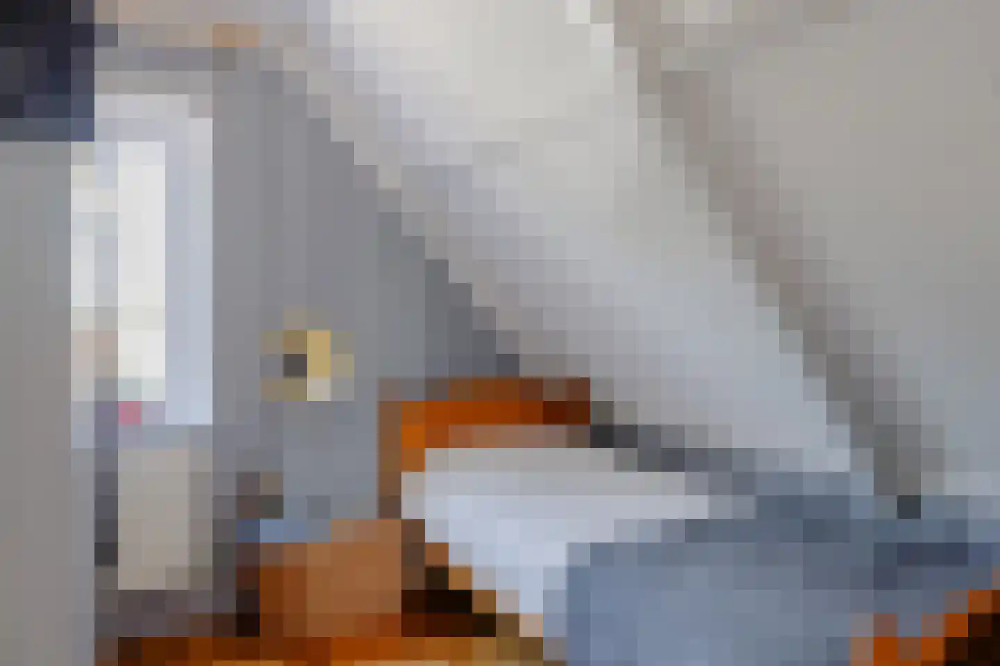 Heemraad Witweg 8 Oostwoud thumbnail 15