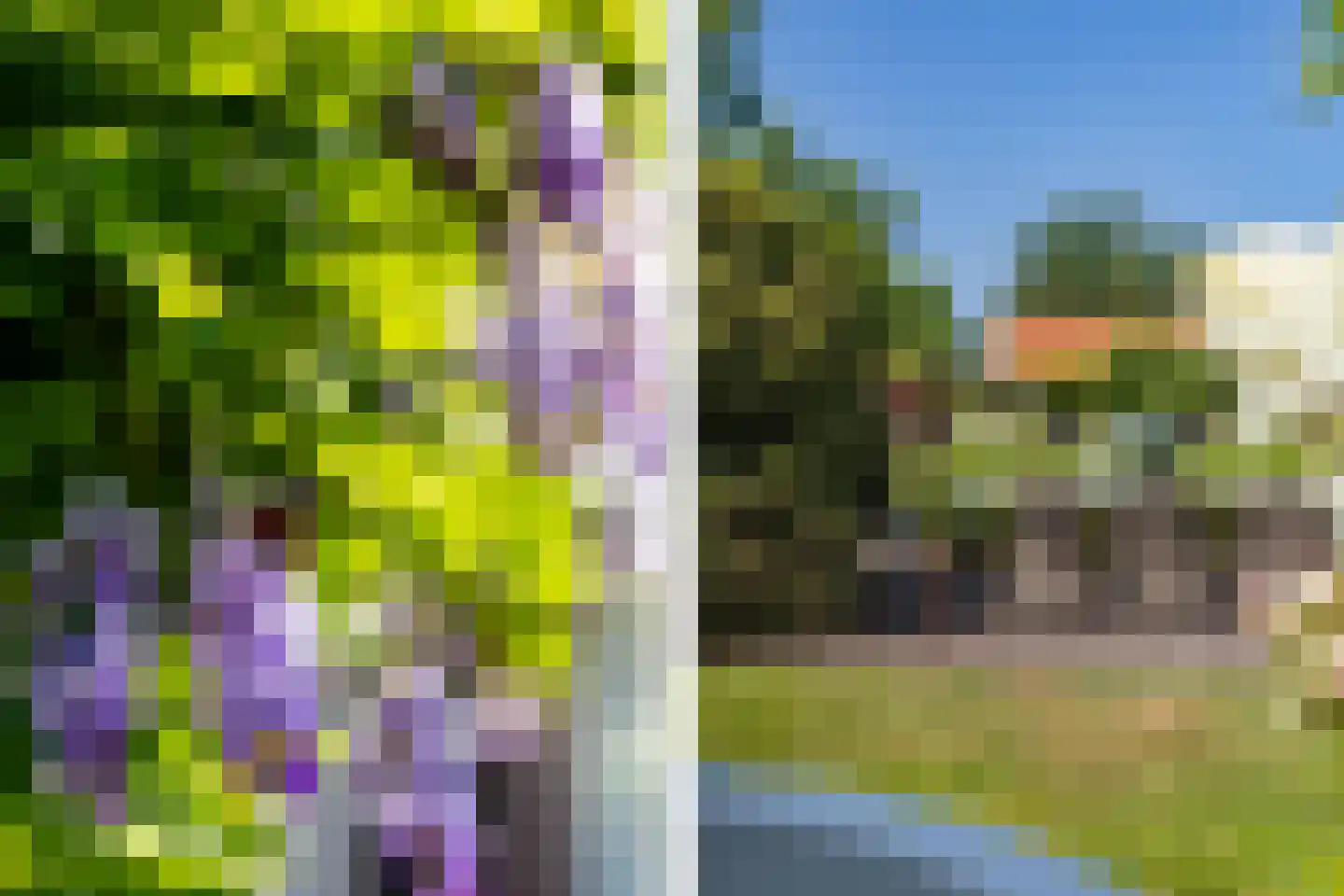 Heemraad Witweg 8 Oostwoud thumbnail 20