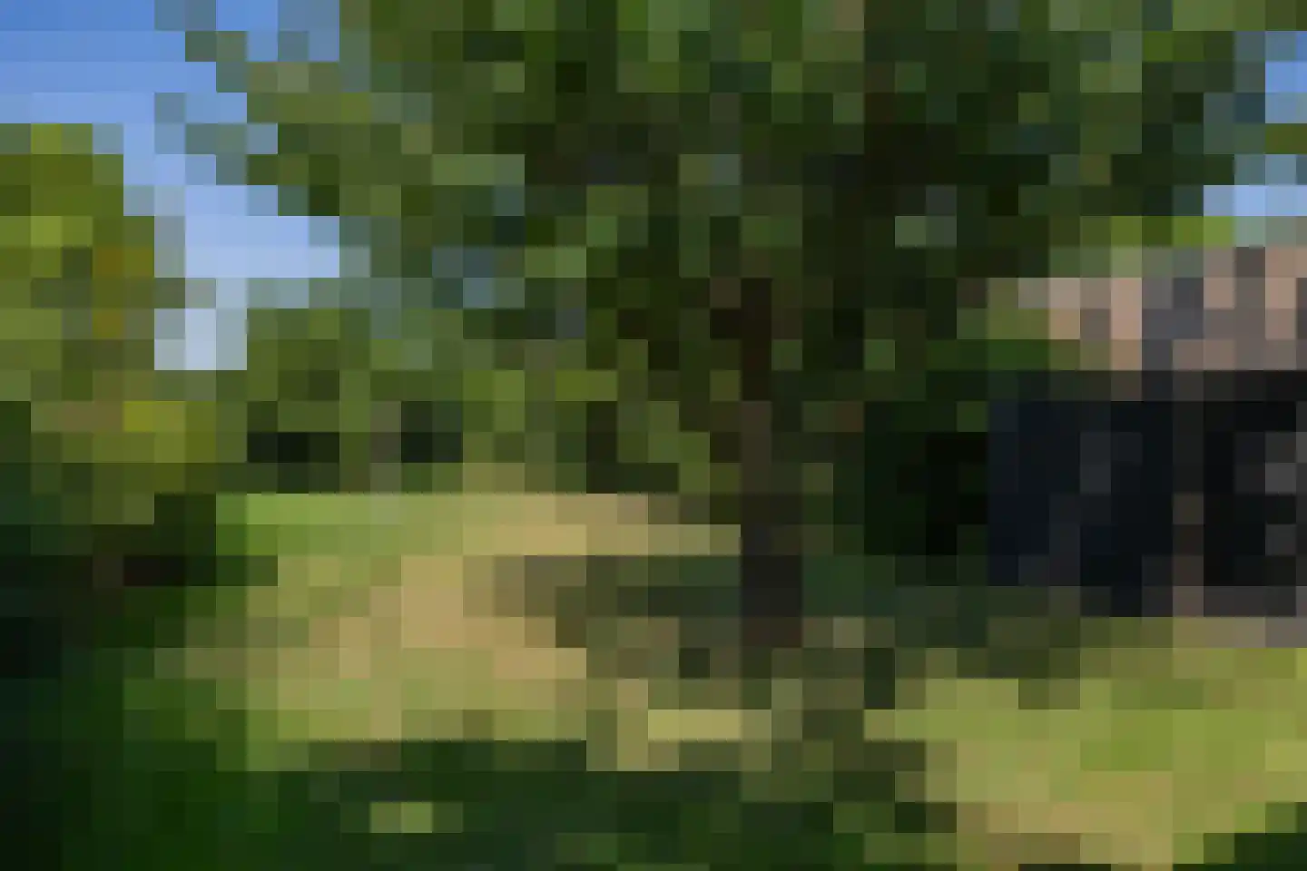 Heemraad Witweg 8 Oostwoud thumbnail 29