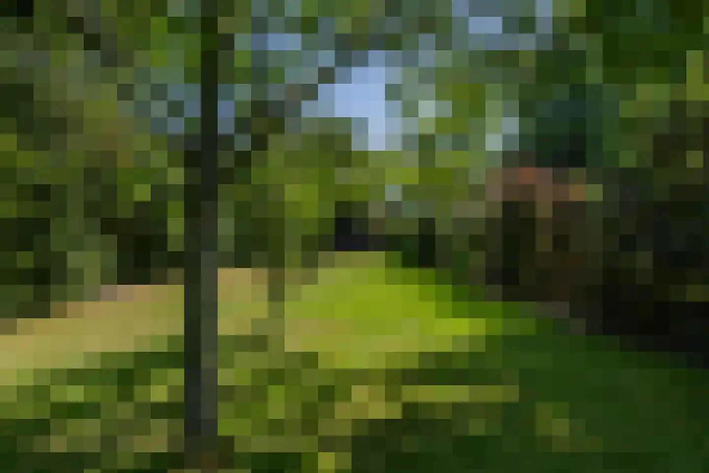 Heemraad Witweg 8 Oostwoud thumbnail 30