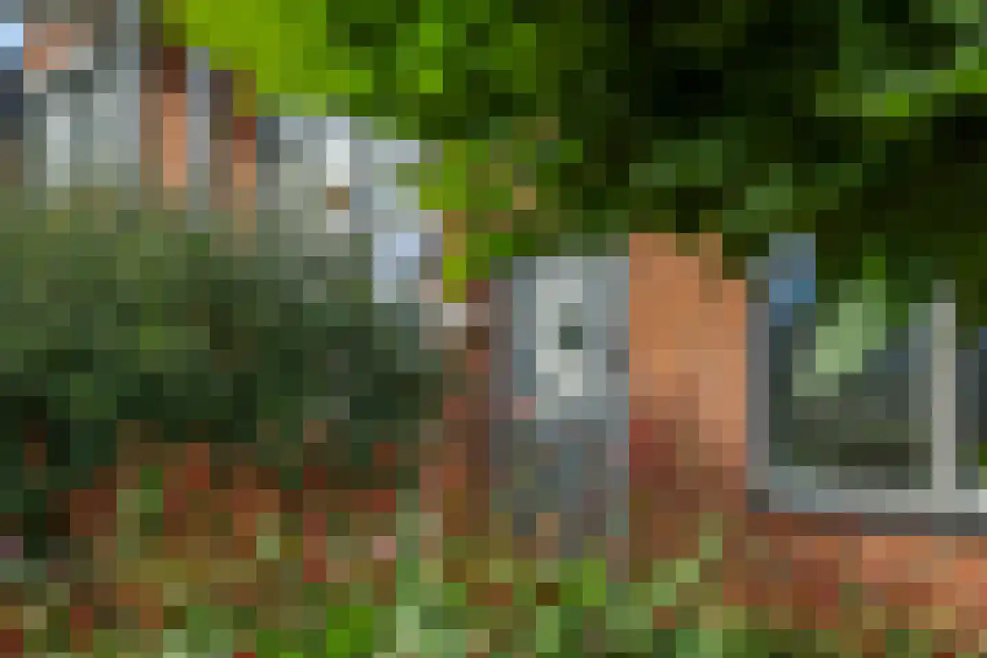 Heemraadlaan 16 Zetten thumbnail 12