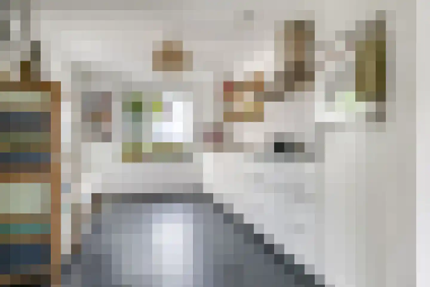 Heemraadlaan 16 Zetten thumbnail 25