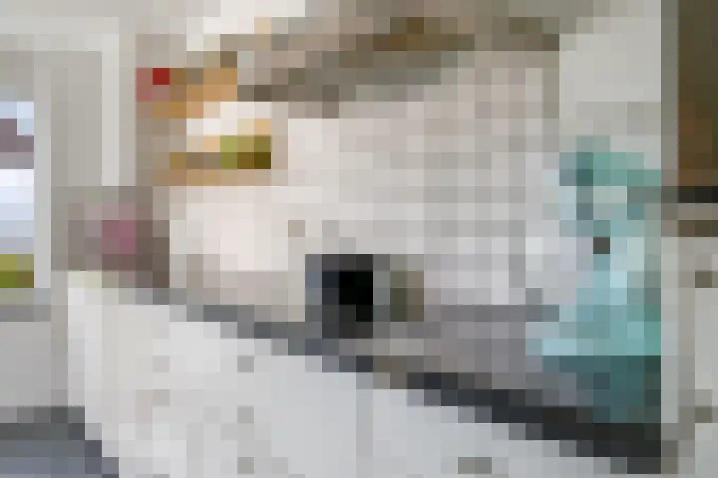 Heemraadlaan 16 Zetten thumbnail 27