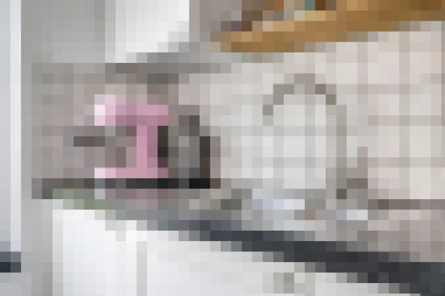 Heemraadlaan 16 Zetten thumbnail 28