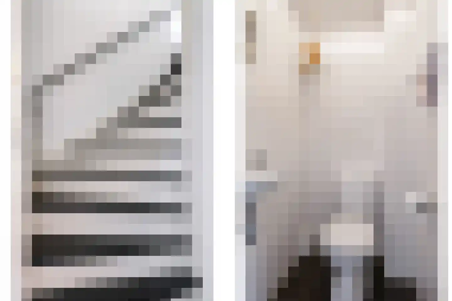 Heemraadlaan 16 Zetten thumbnail 33