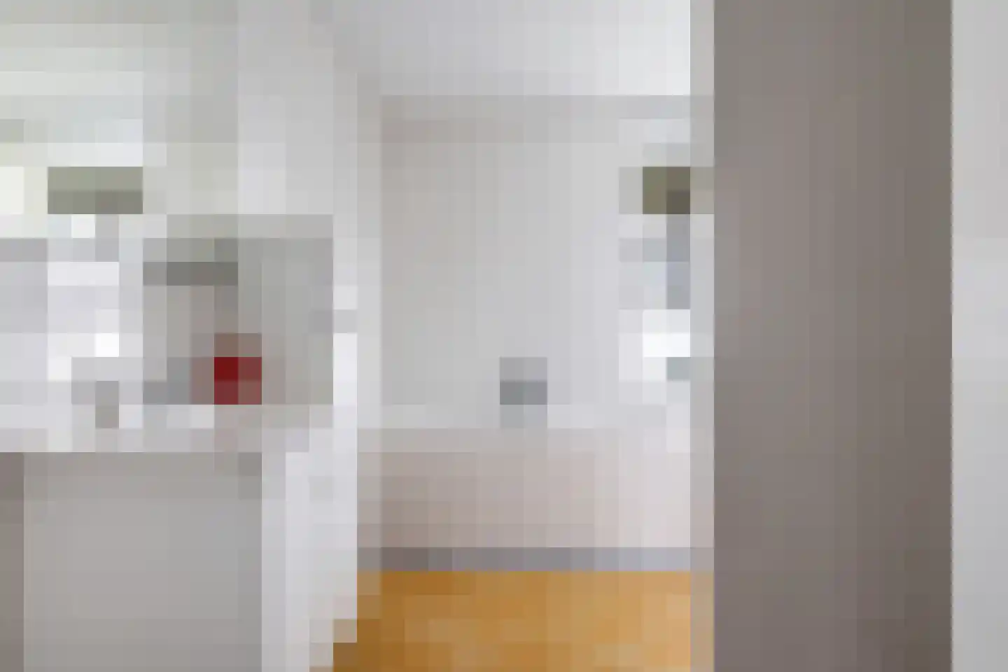 Heemraadlaan 16 Zetten thumbnail 41