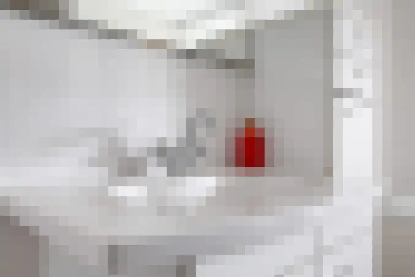 Heemraadlaan 16 Zetten thumbnail 43