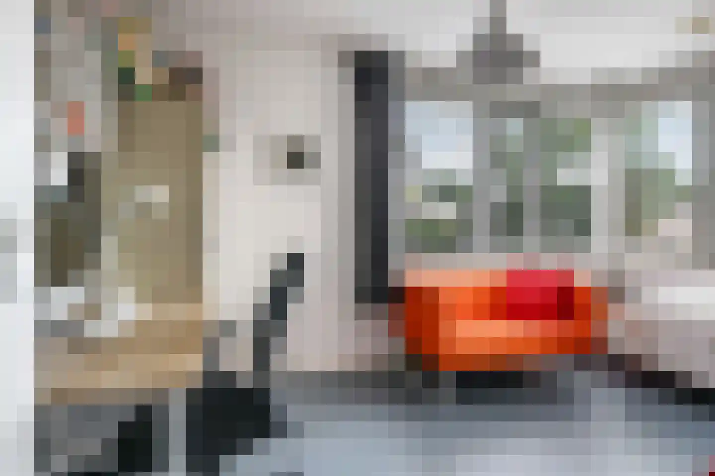 Heemraadlaan 16 Zetten thumbnail 44