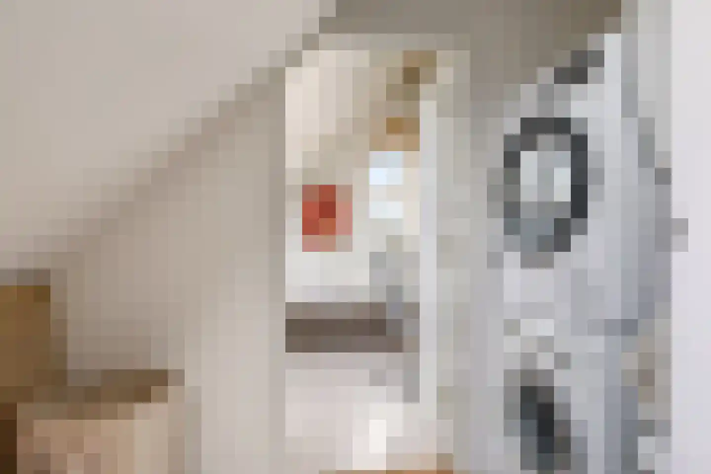 Heemraadlaan 16 Zetten thumbnail 48