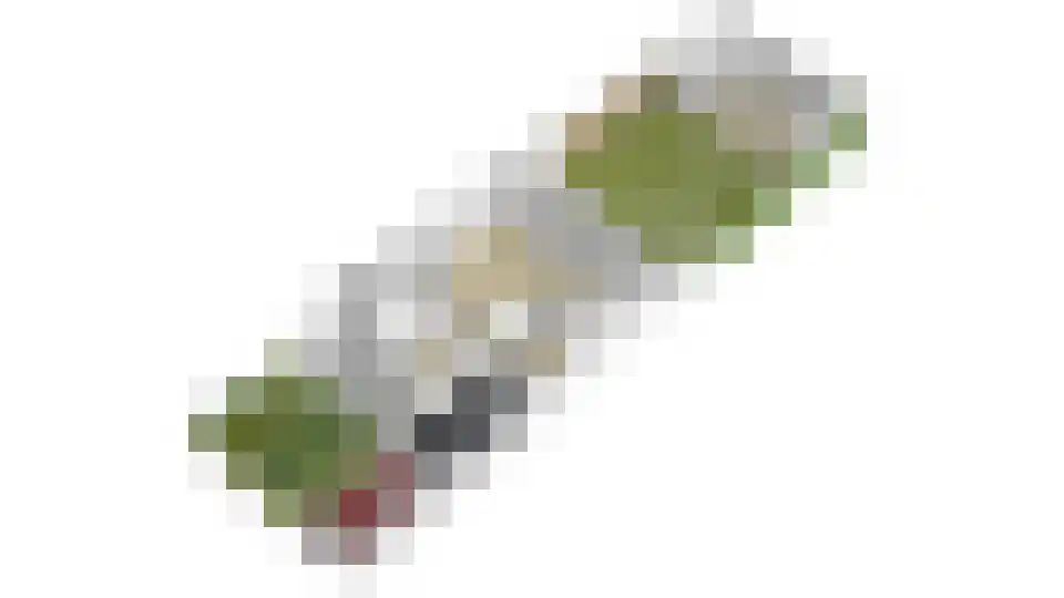 Heemraadlaan 16 Zetten thumbnail 55