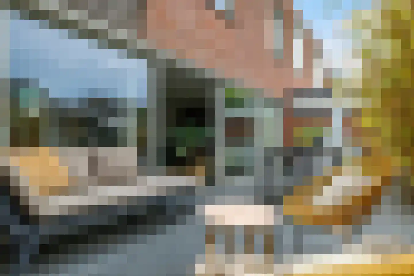 Heemraadlaan 16 Zetten thumbnail 60