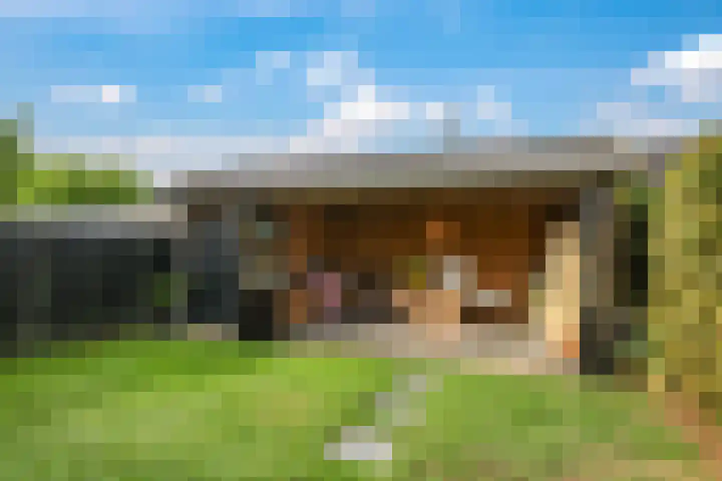 Heemraadlaan 16 Zetten thumbnail 66