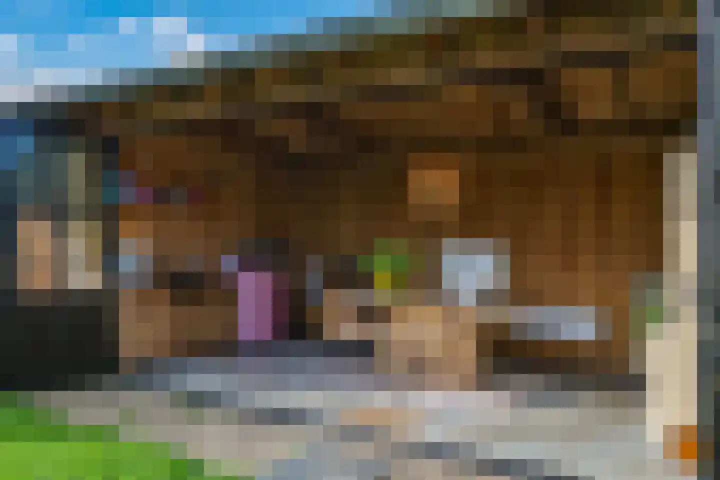 Heemraadlaan 16 Zetten thumbnail 67