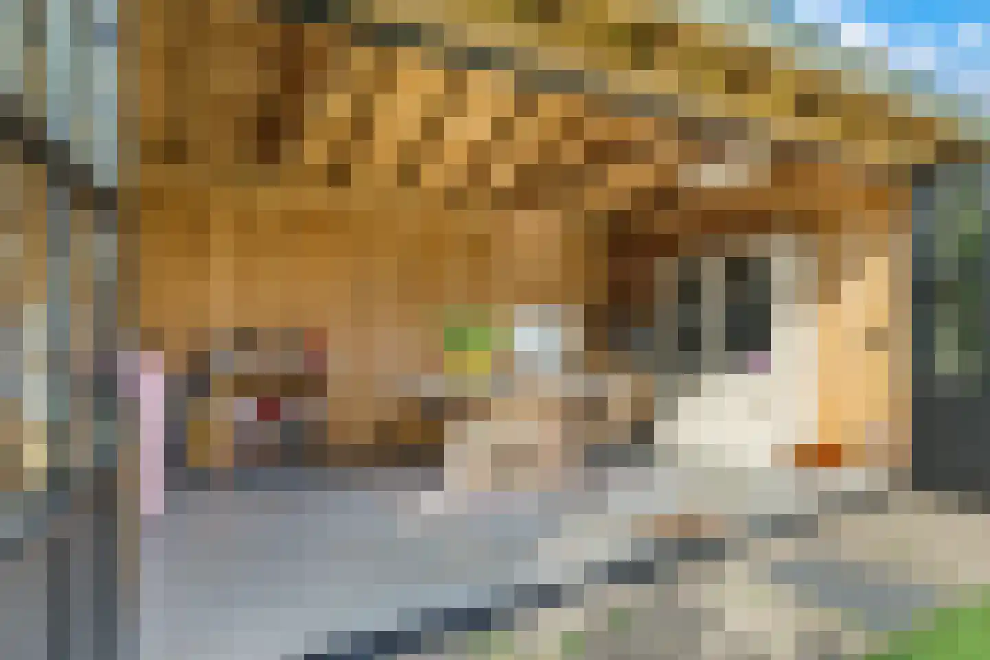 Heemraadlaan 16 Zetten thumbnail 68