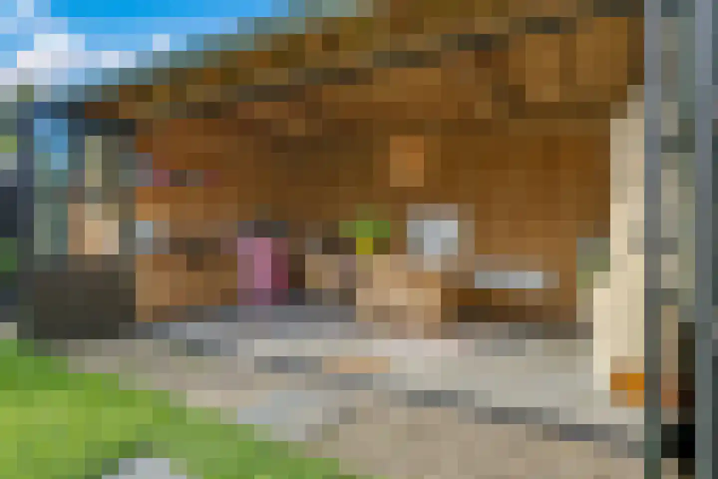 Heemraadlaan 16 Zetten thumbnail 69
