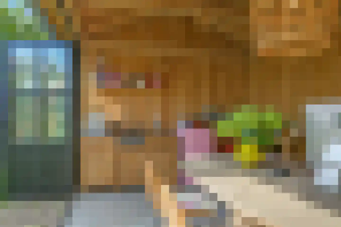 Heemraadlaan 16 Zetten thumbnail 70