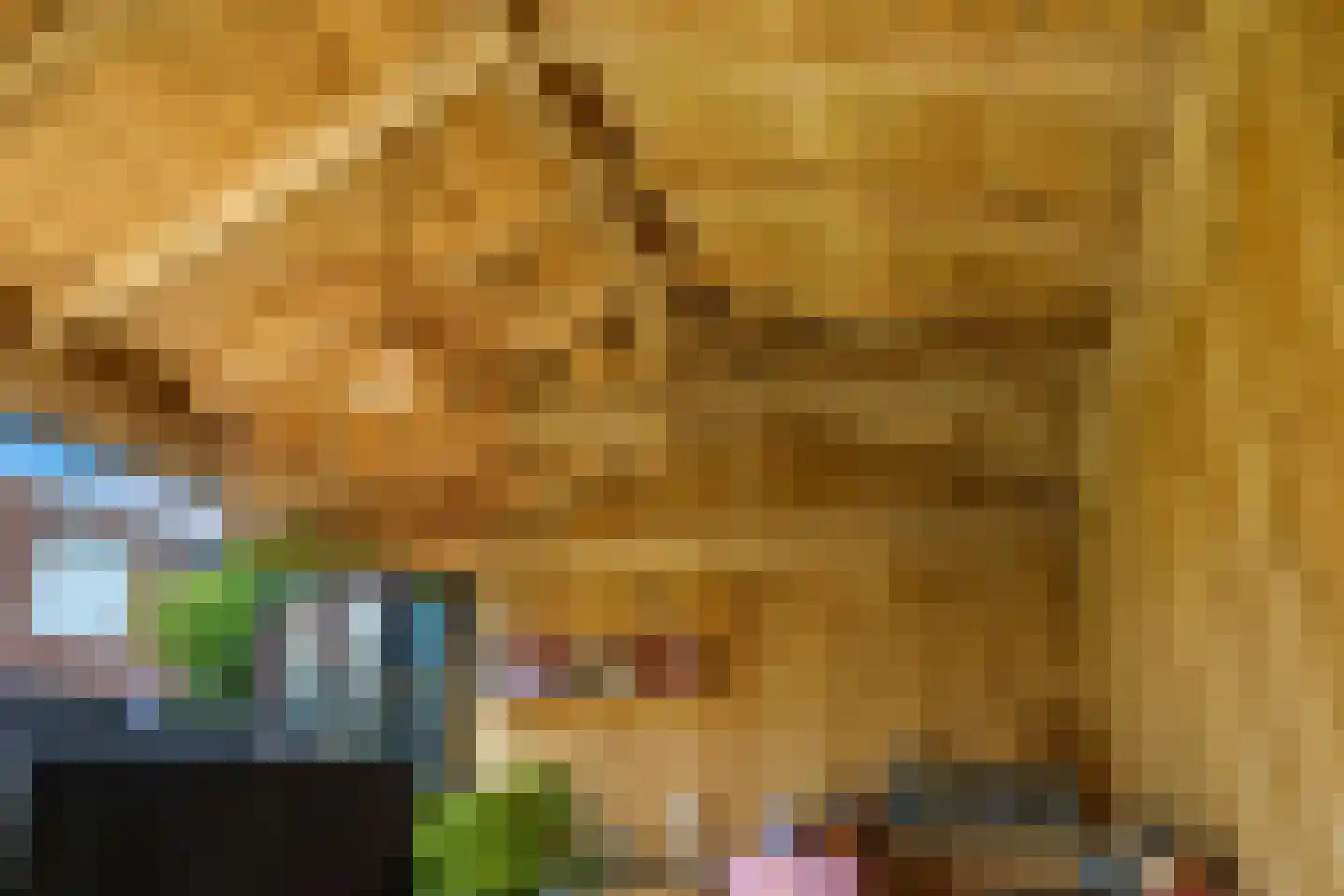 Heemraadlaan 16 Zetten thumbnail 71