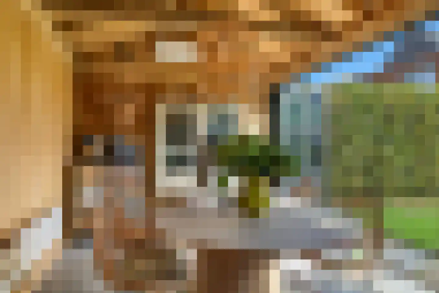 Heemraadlaan 16 Zetten thumbnail 72