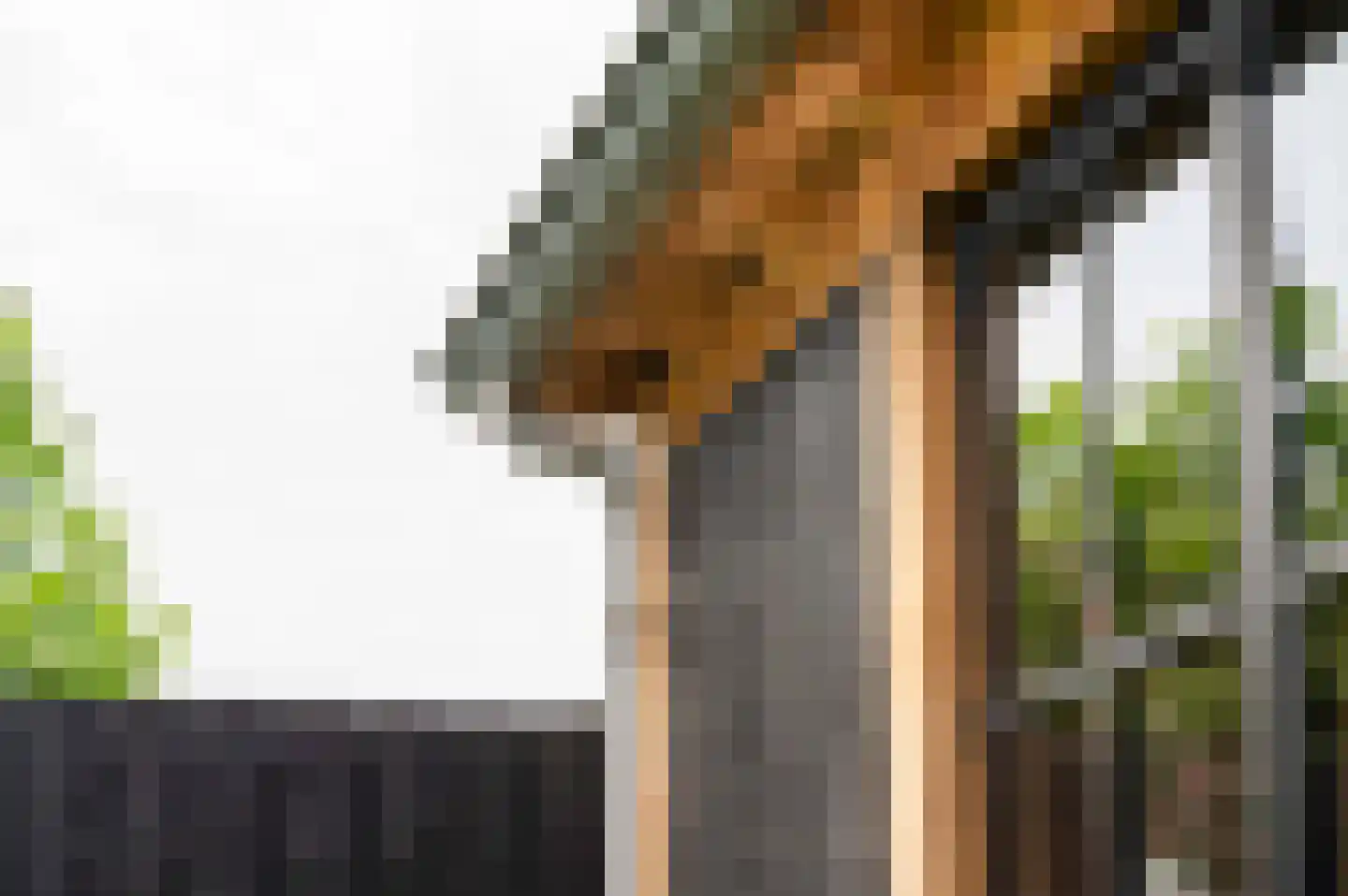 Heemraadlaan 16 Zetten thumbnail 77