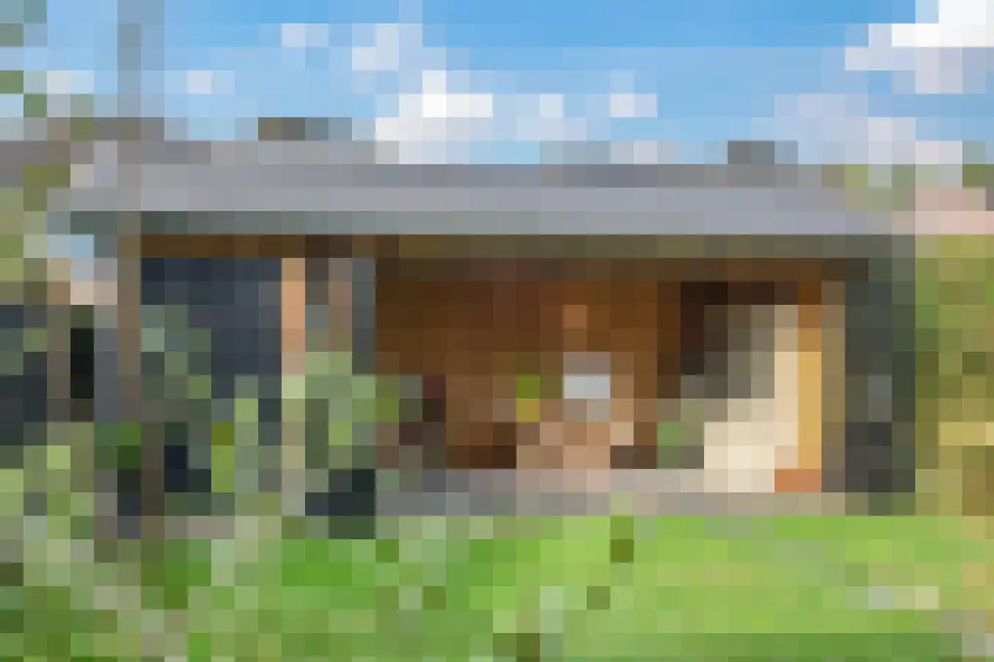 Heemraadlaan 16 Zetten thumbnail 80