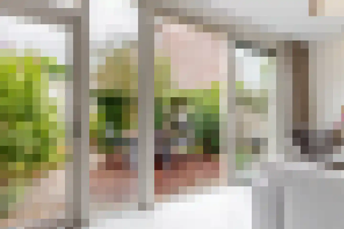 Heemraadlaan 22 Leiderdorp thumbnail 10