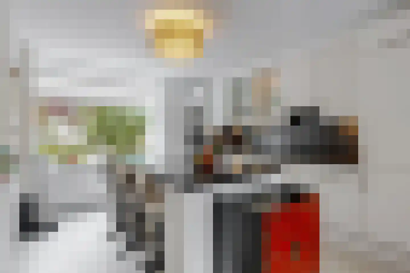 Heemraadlaan 22 Leiderdorp thumbnail 12