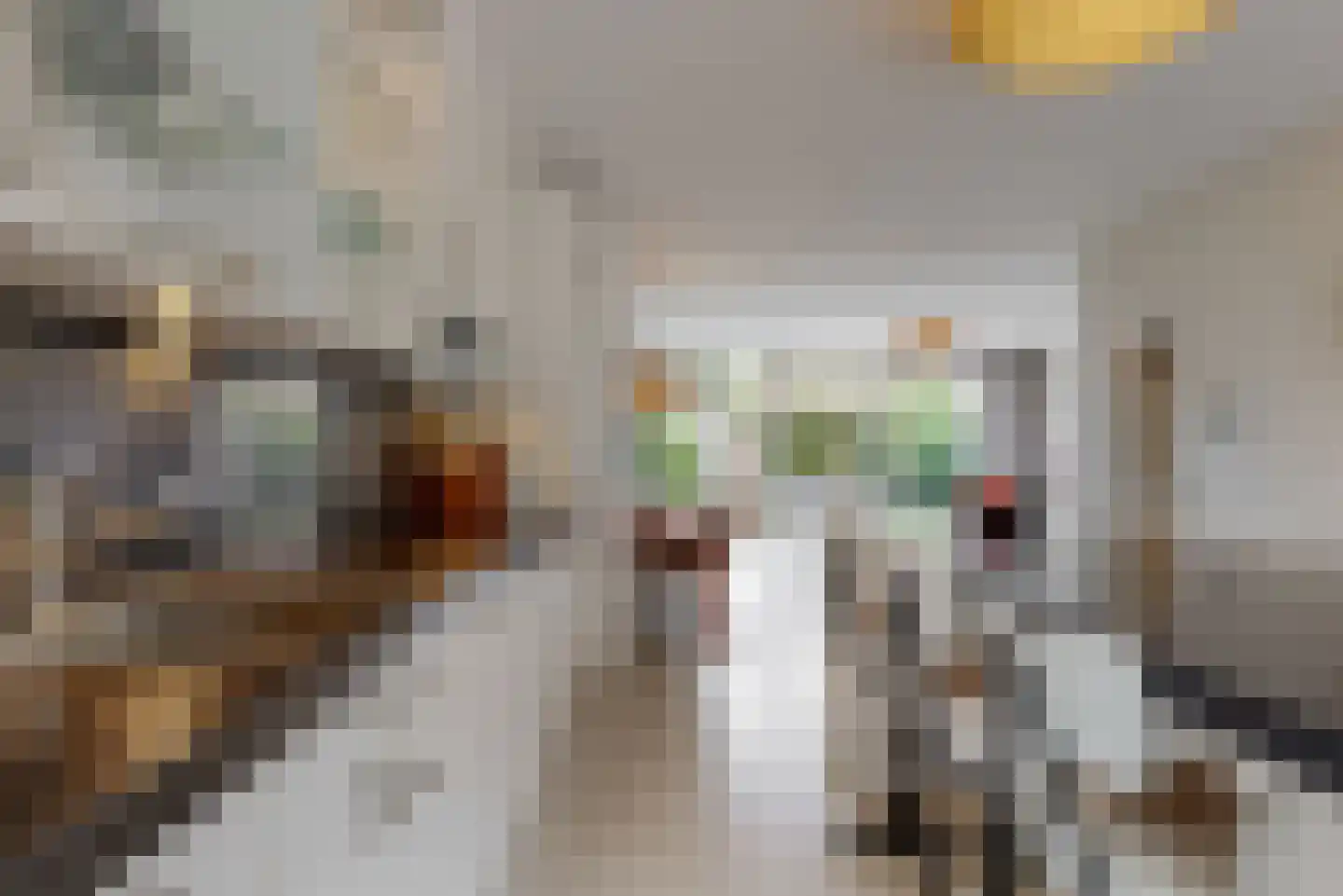 Heemraadlaan 22 Leiderdorp thumbnail 15
