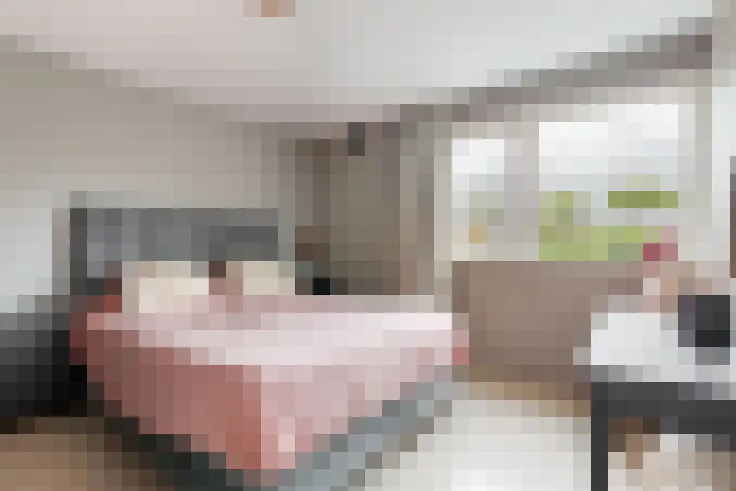 Heemraadlaan 22 Leiderdorp thumbnail 19