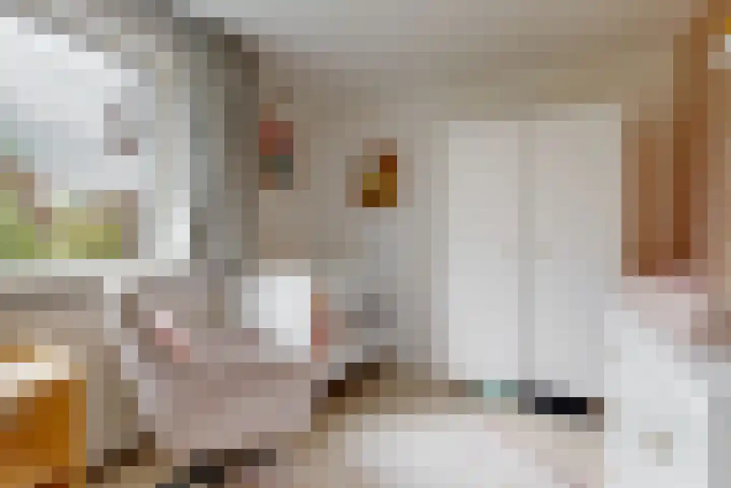 Heemraadlaan 22 Leiderdorp thumbnail 21