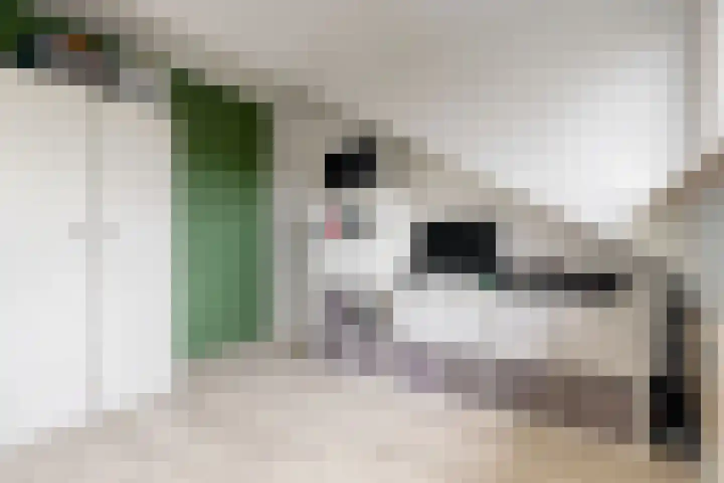 Heemraadlaan 22 Leiderdorp thumbnail 28