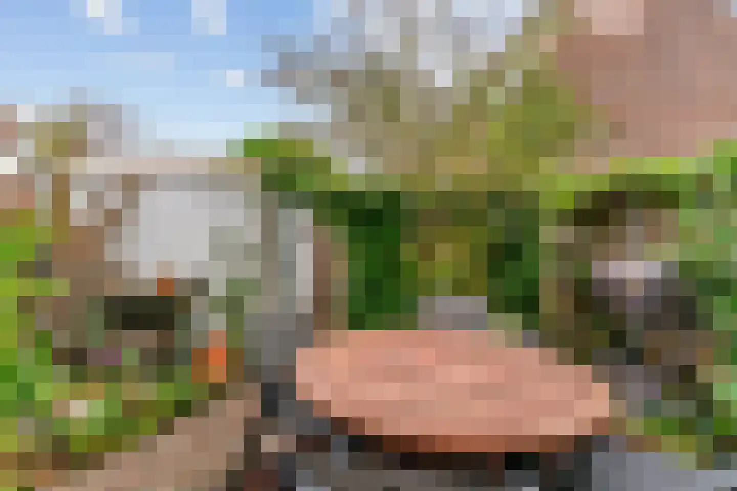 Heemraadlaan 22 Leiderdorp thumbnail 33
