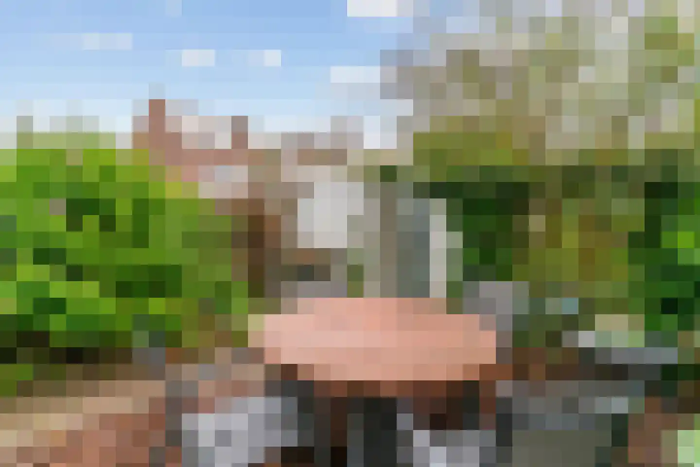 Heemraadlaan 22 Leiderdorp thumbnail 34