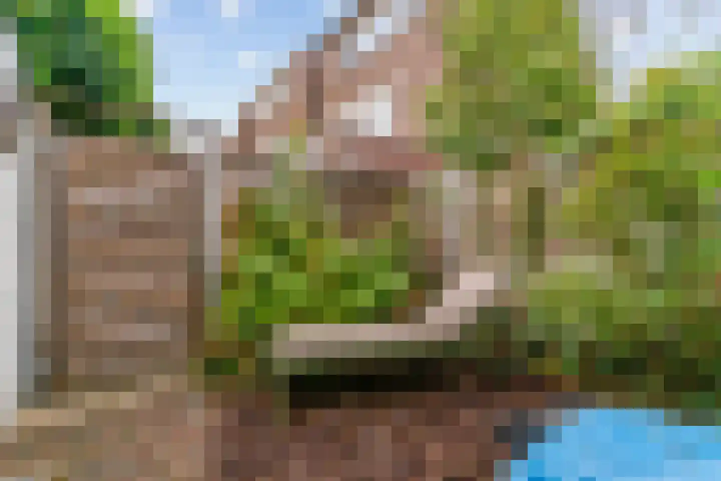 Heemraadlaan 22 Leiderdorp thumbnail 36